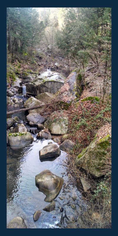 View from the bridge at Deer Creek in Nevada City