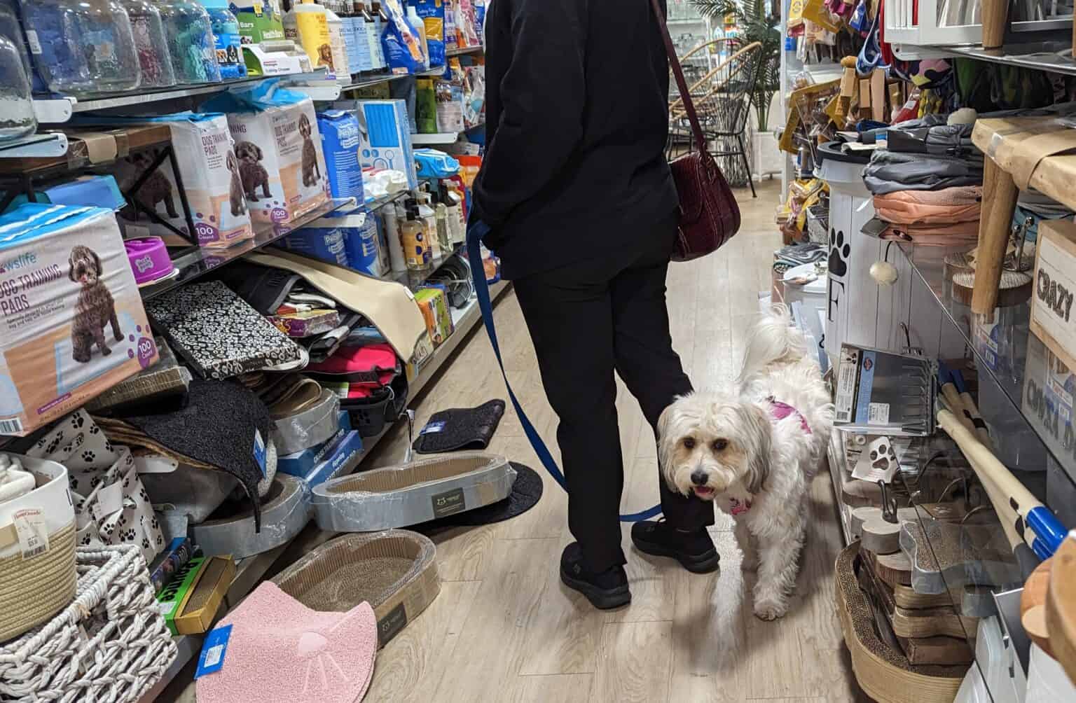 TJ Maxx Dog Friendly What is their pet policy? [2024] Pets Around